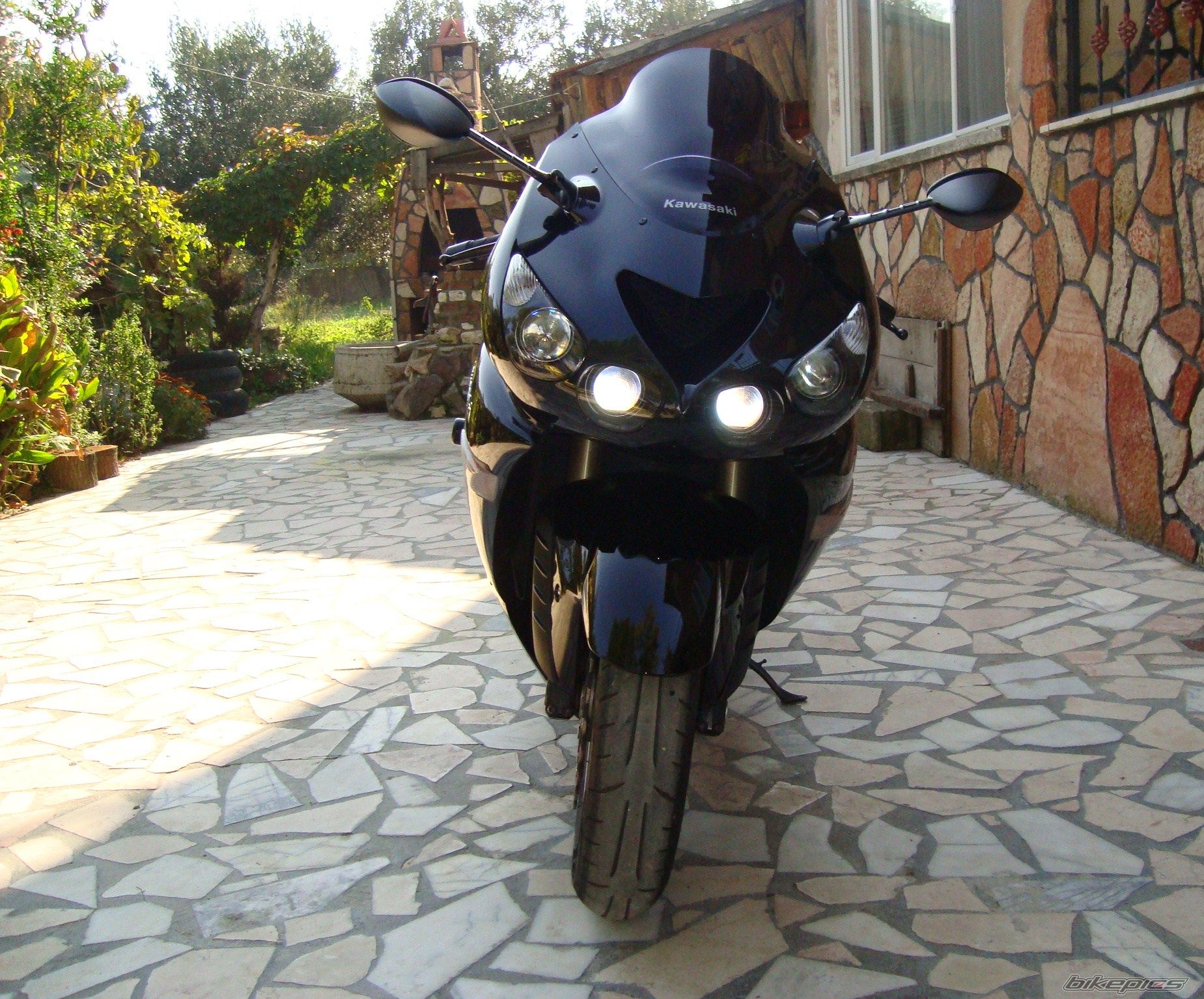 Photo 2290466