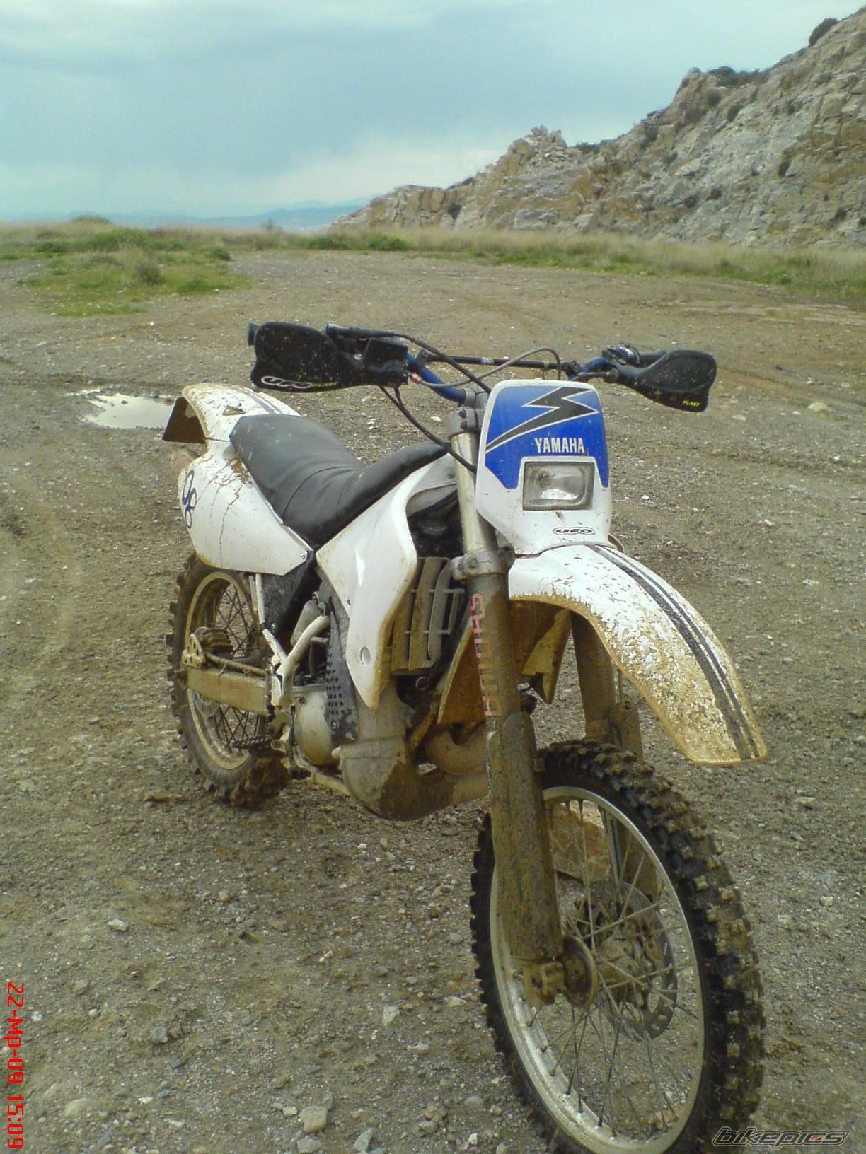 Photo 2290587