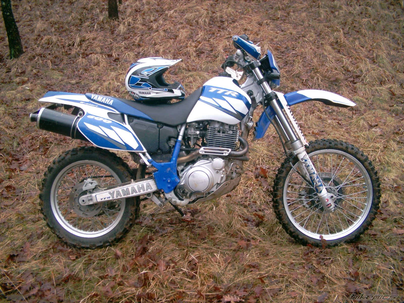 Photo 2290594