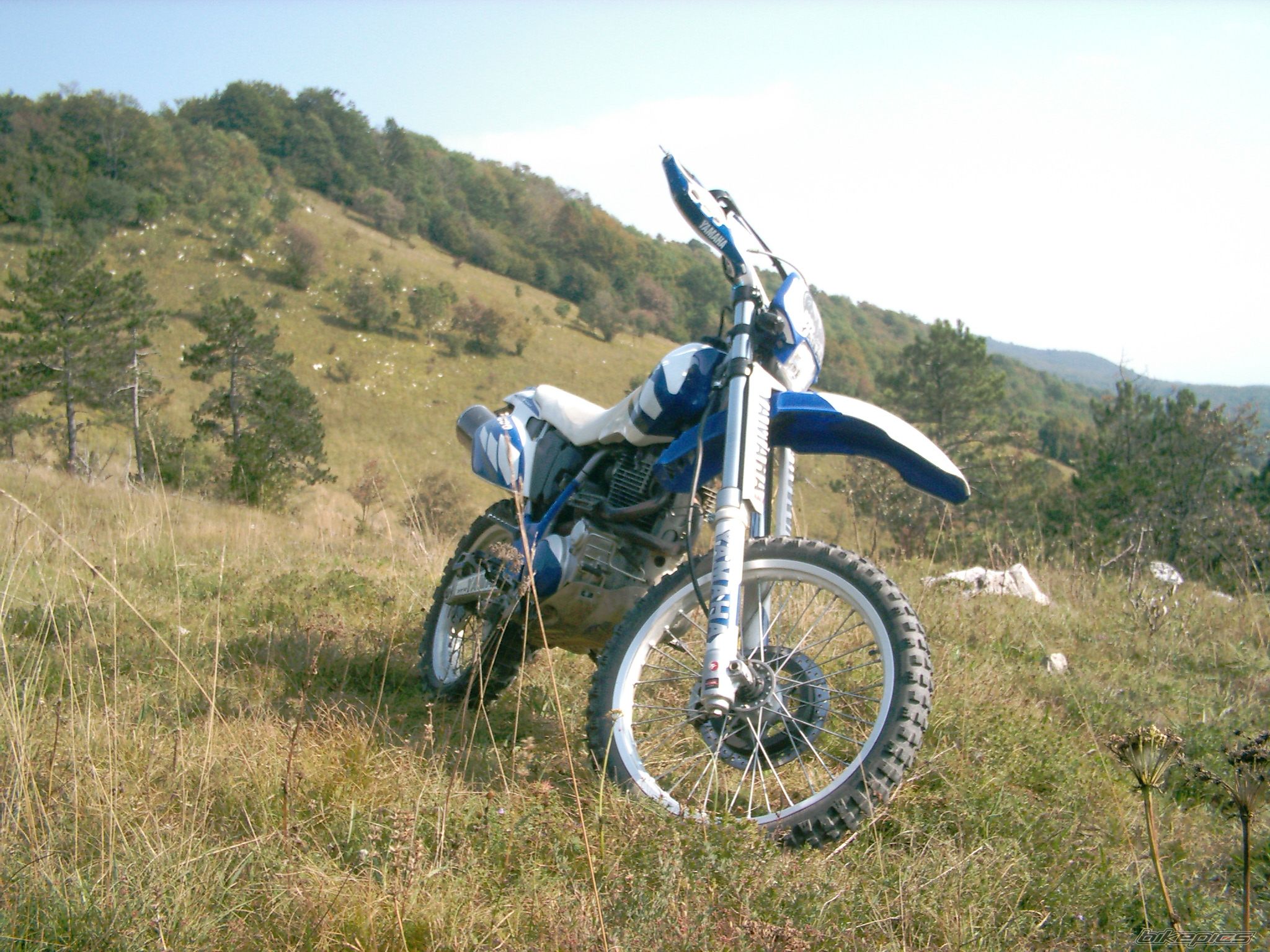 Photo 2290595