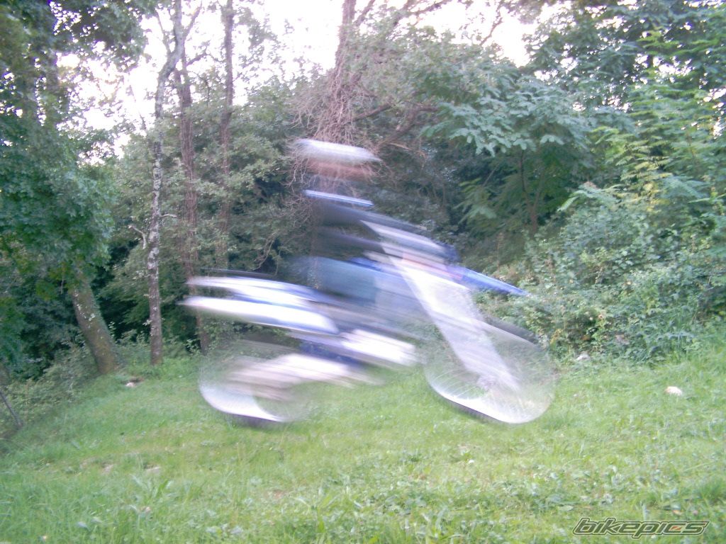 Photo 2290598