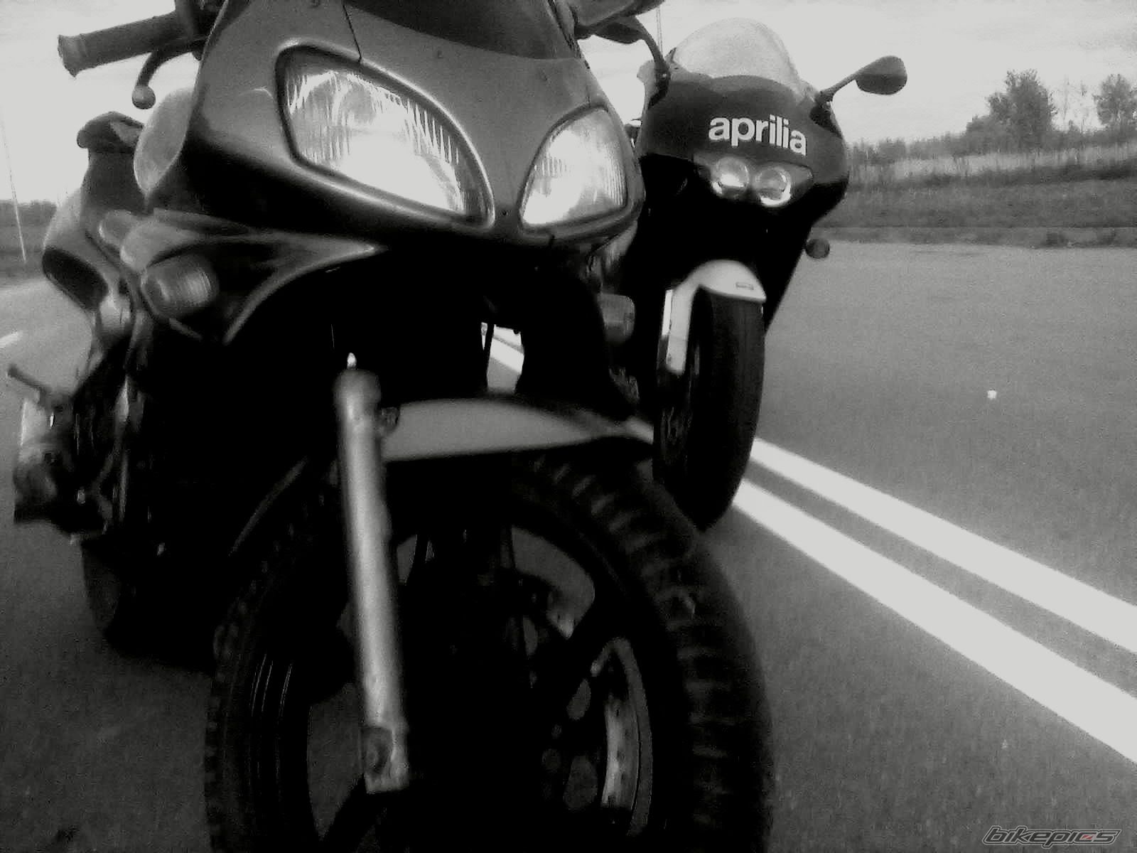 Photo 2290695