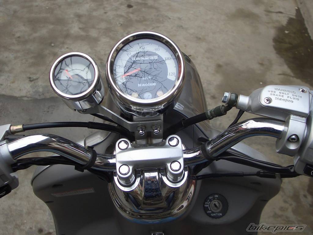 Photo 229087