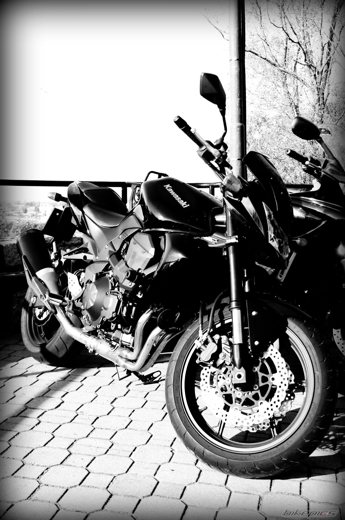 Photo 2290907