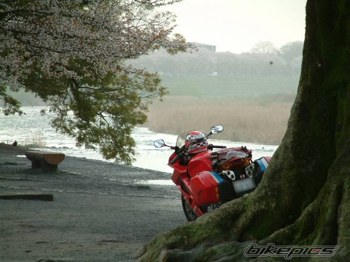 Photo 229094