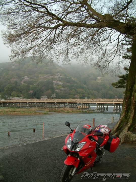 Photo 229095