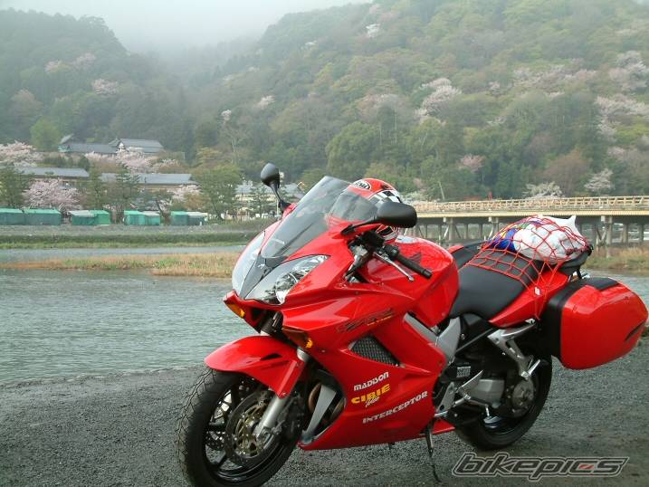 Photo 229096