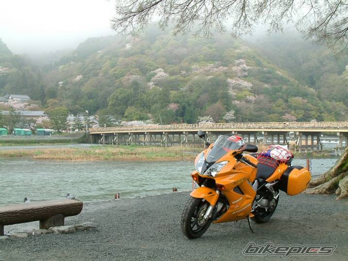Photo 229097