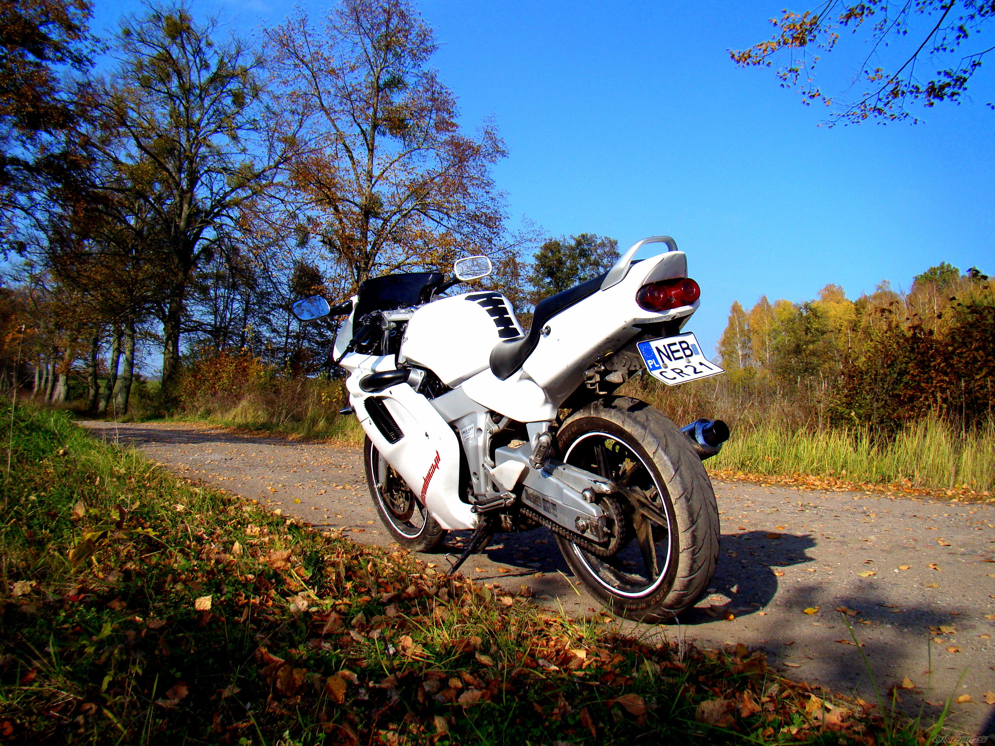 Photo 2291329