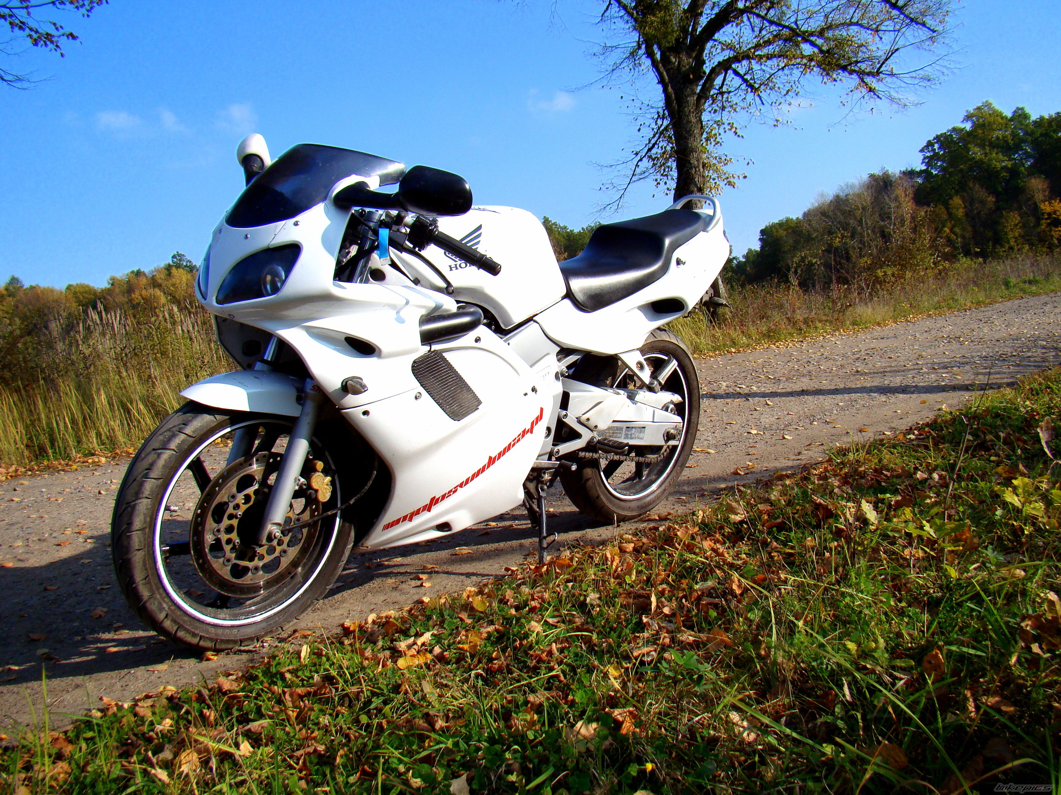 Photo 2291332