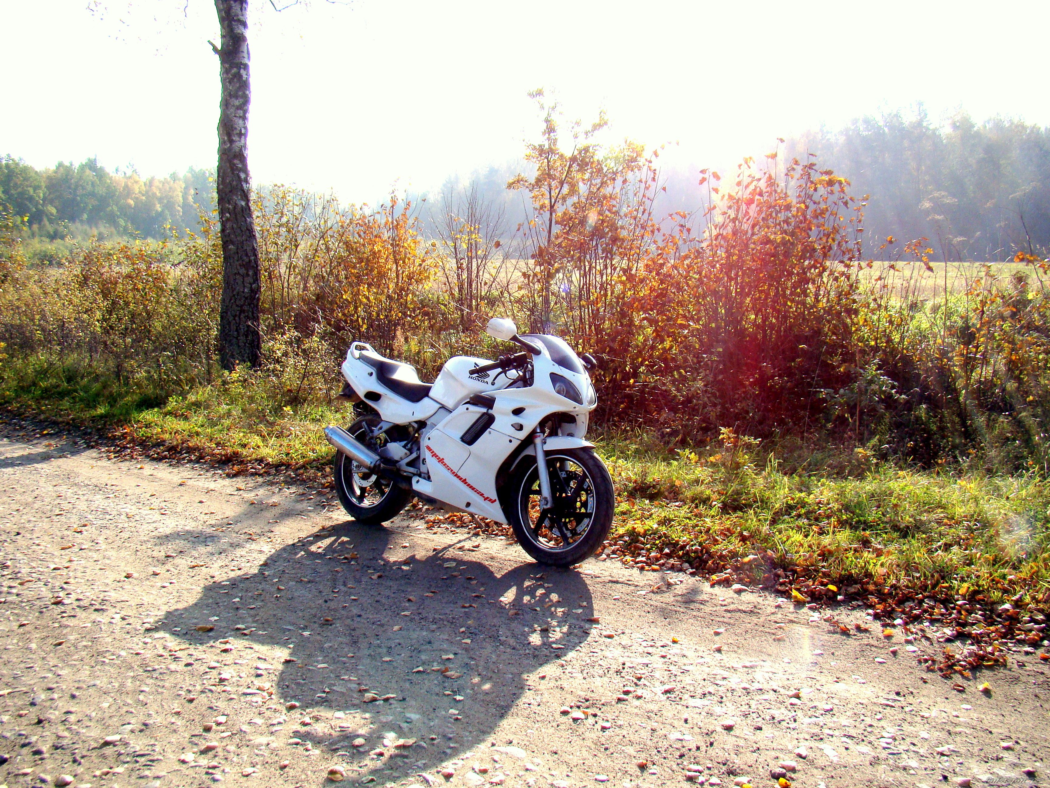 Photo 2291343