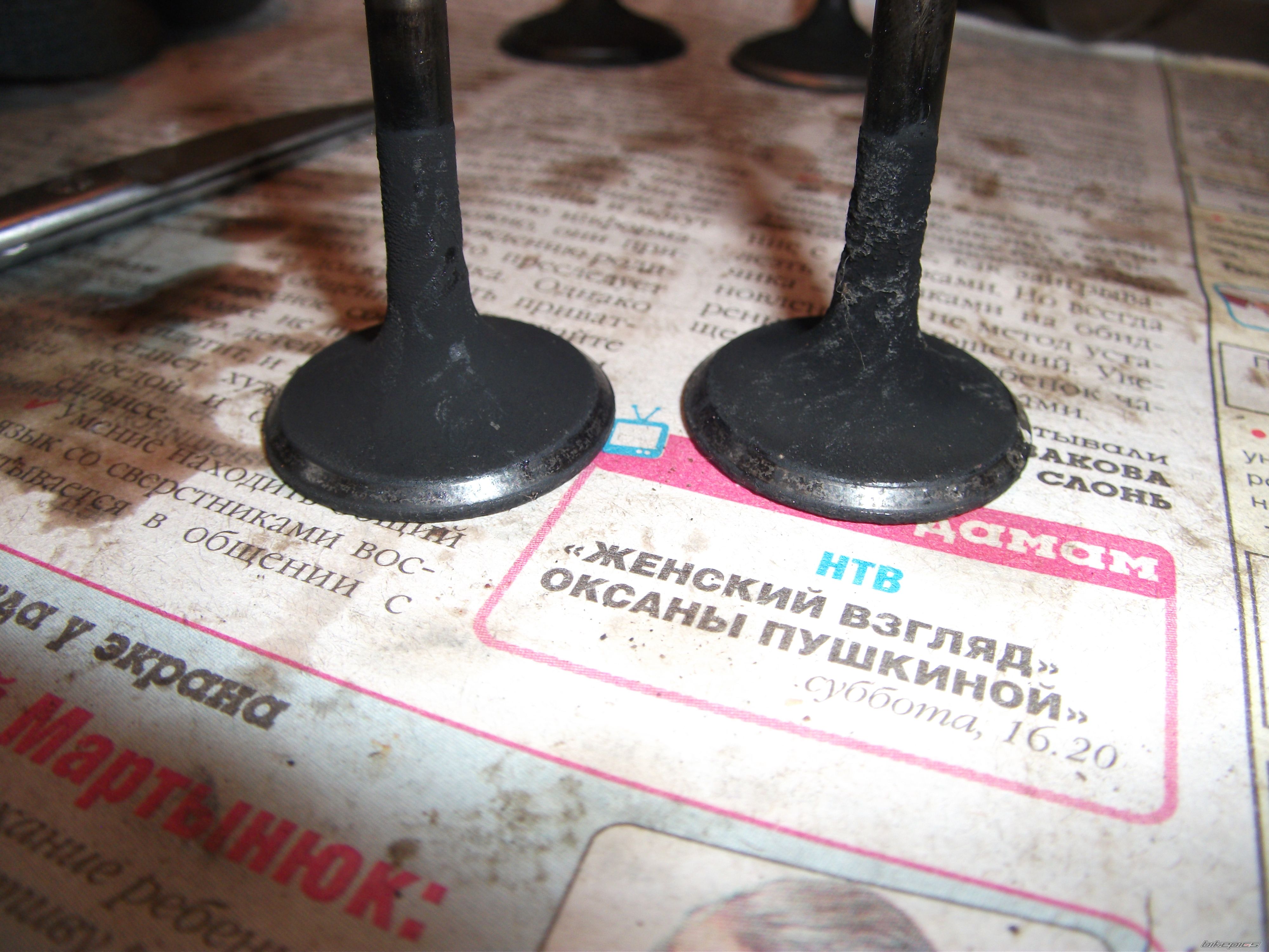 Photo 2291346