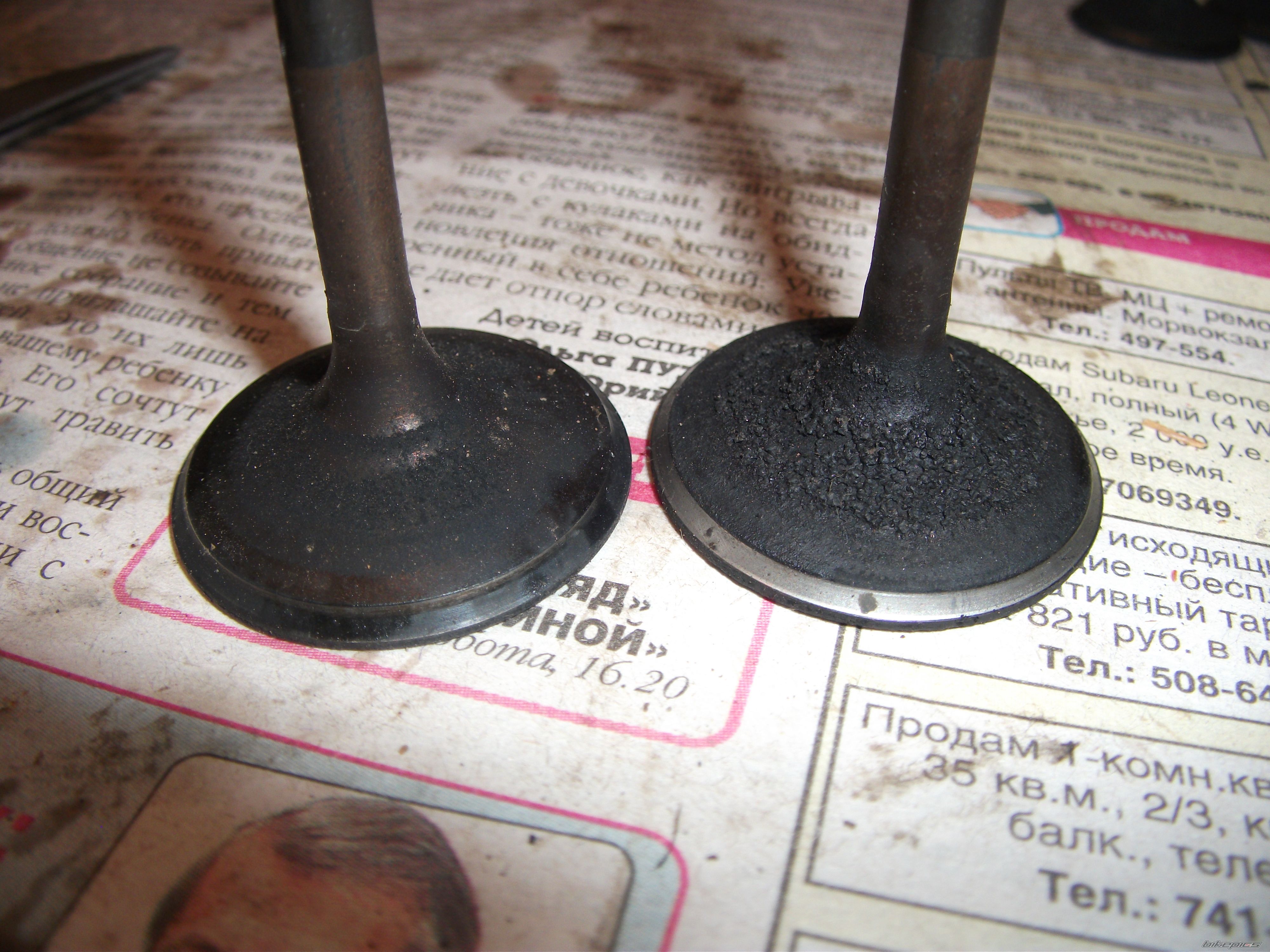 Photo 2291350