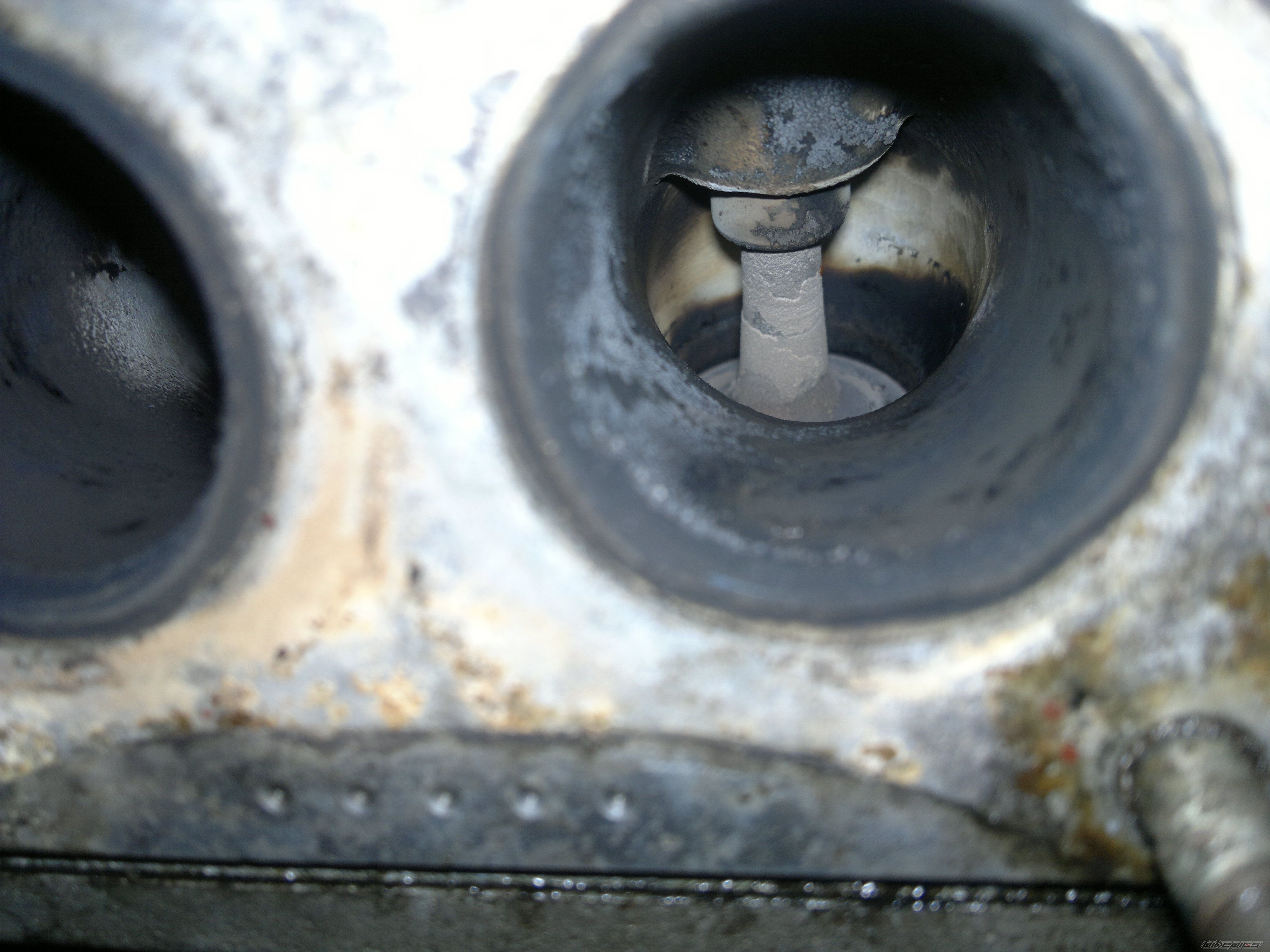 Photo 2291469