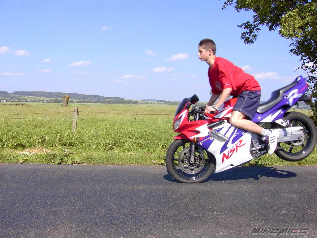 Photo 229154