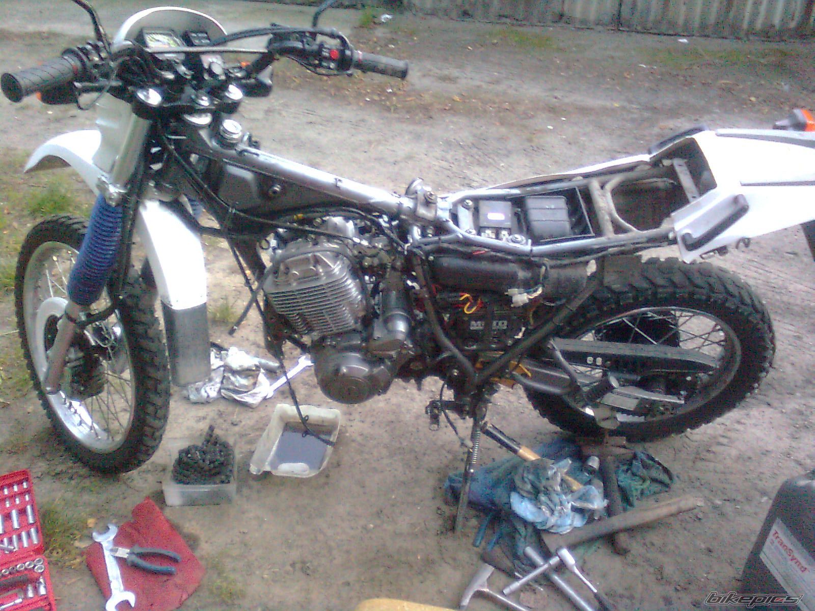 Photo 2291575