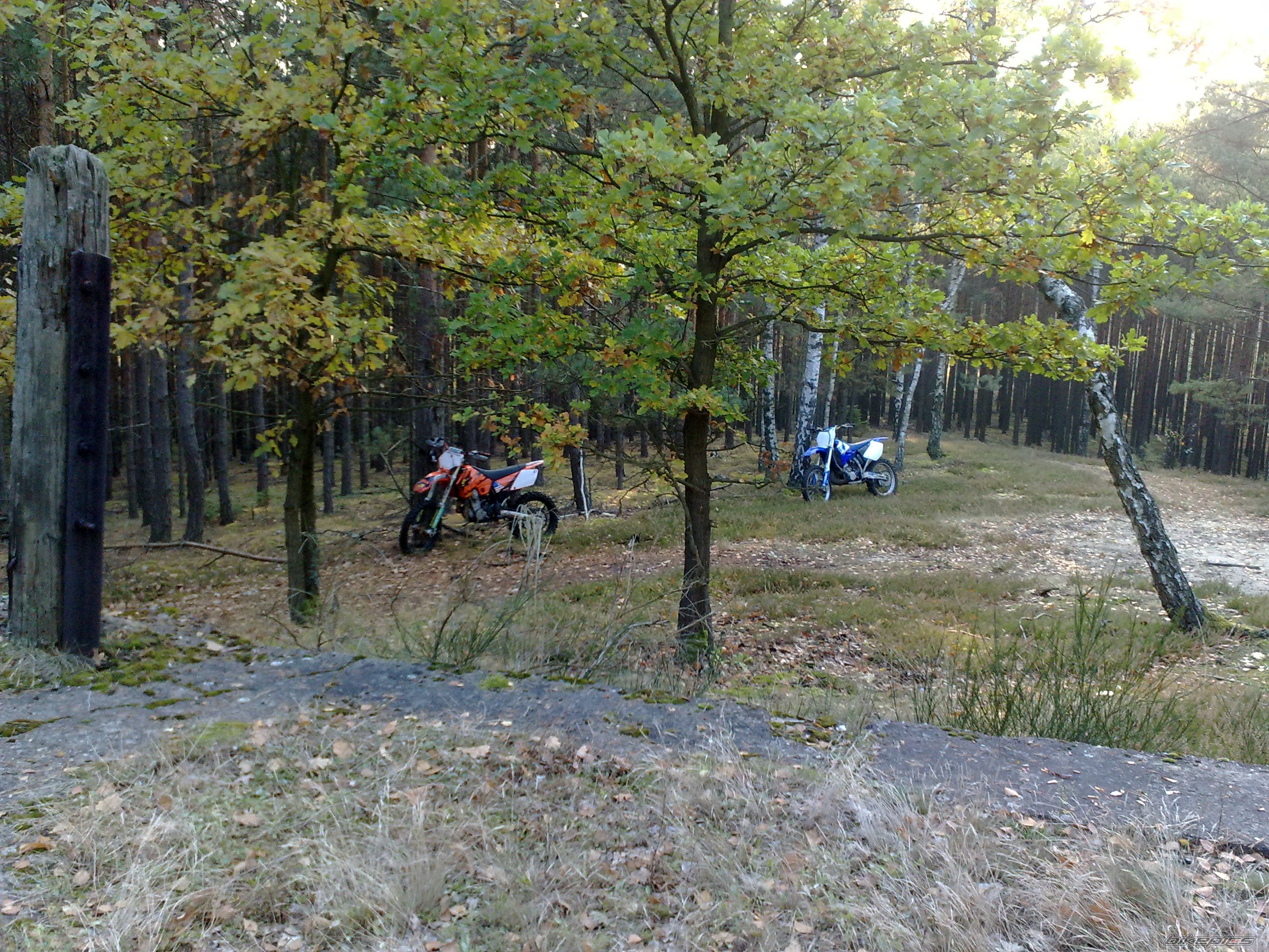Photo 2291660