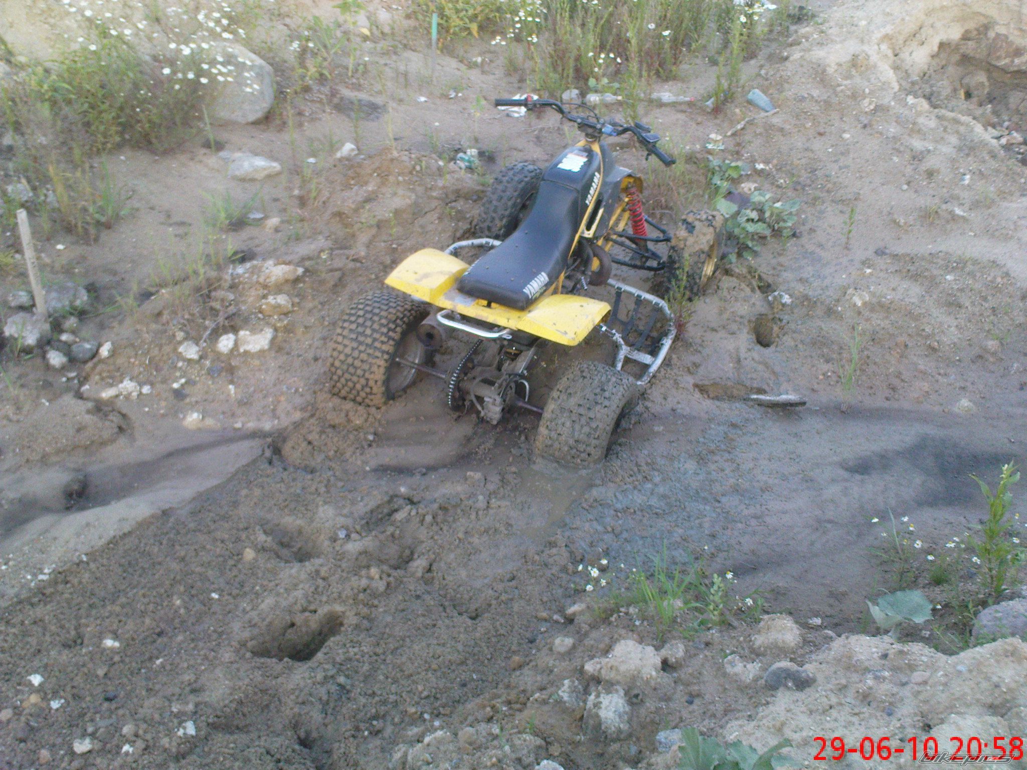 Photo 2291703