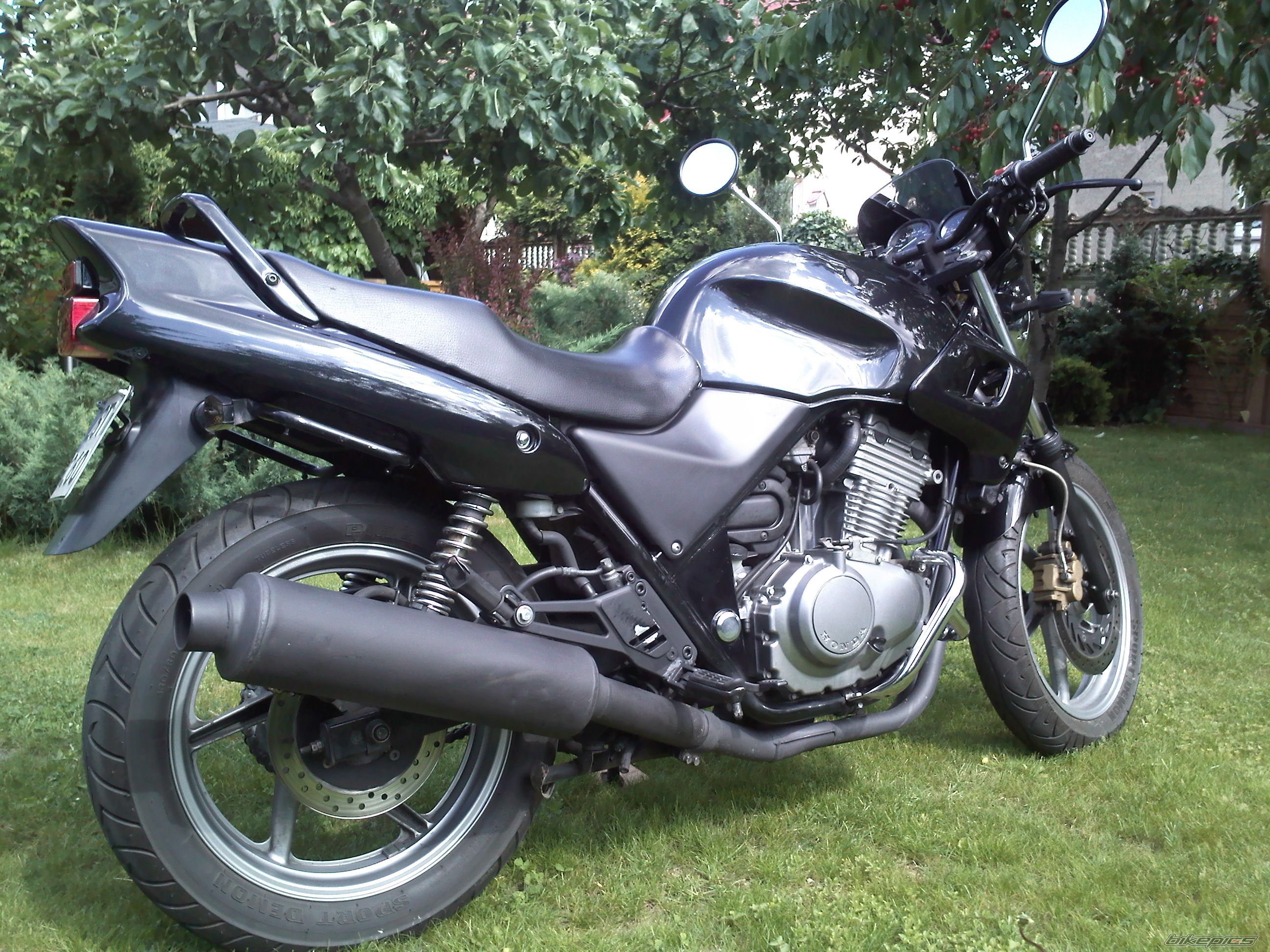 Photo 2291721