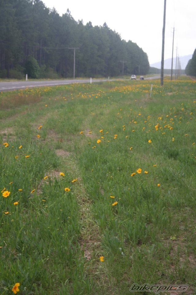 Photo 2291758