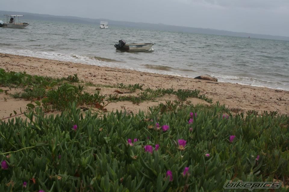 Photo 2291759
