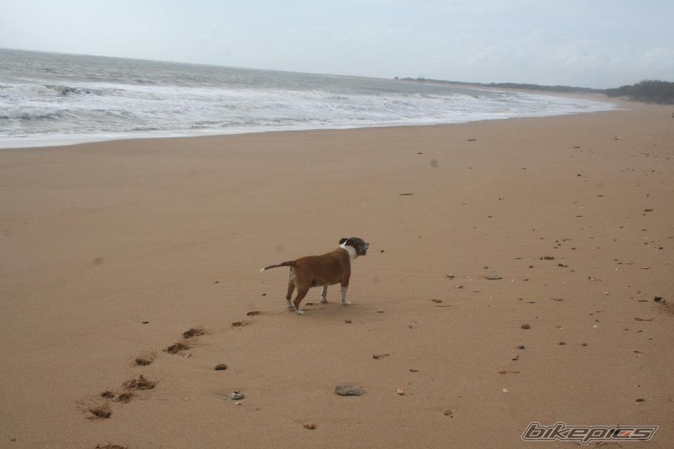 Photo 2291761