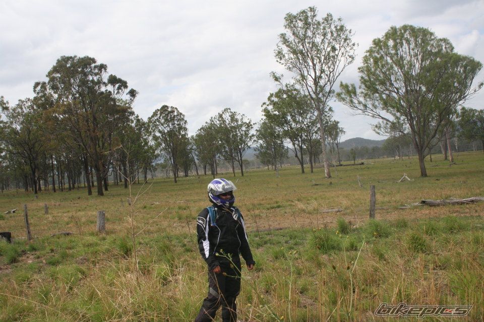 Photo 2291765