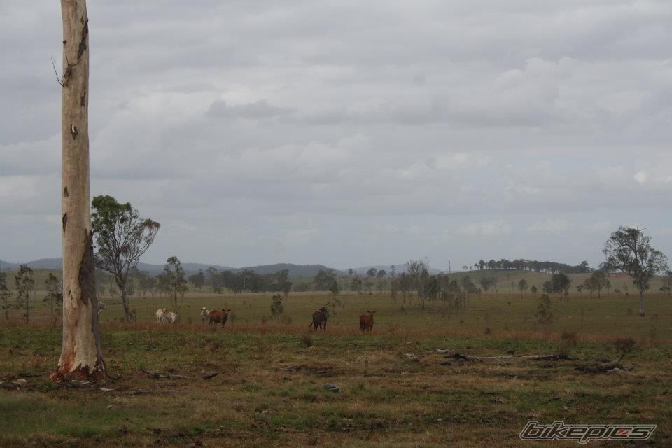Photo 2291767