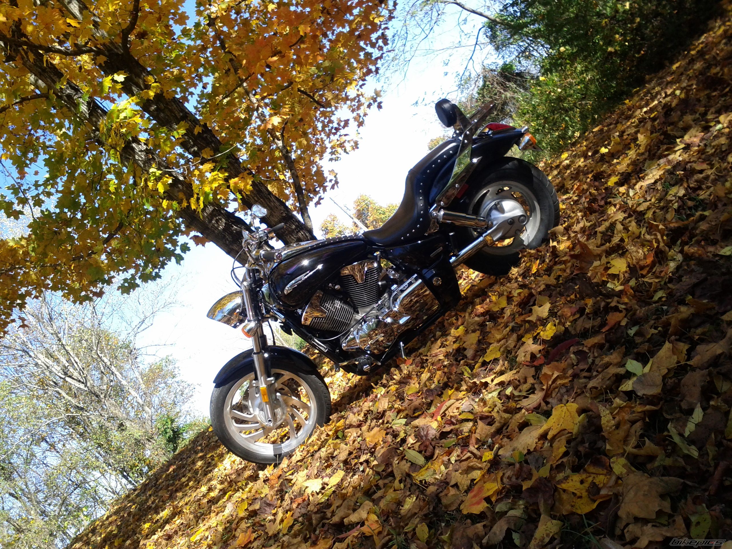 Photo 2291784