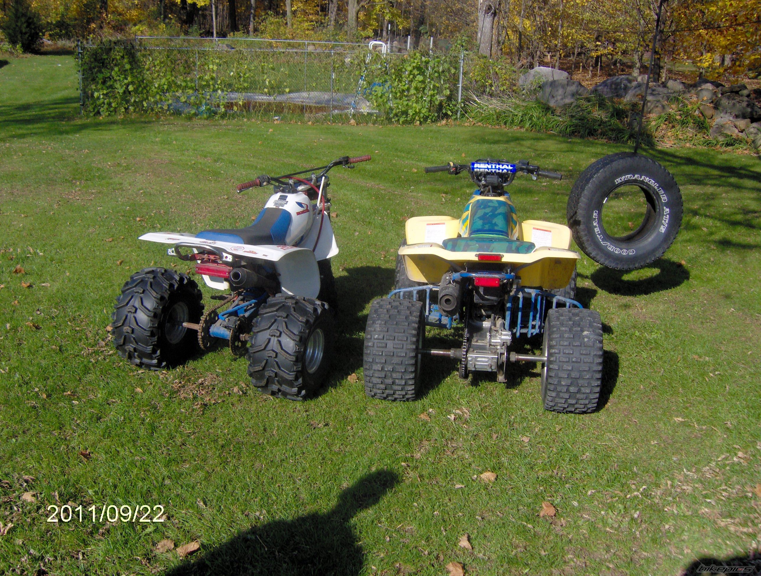 Photo 2291789