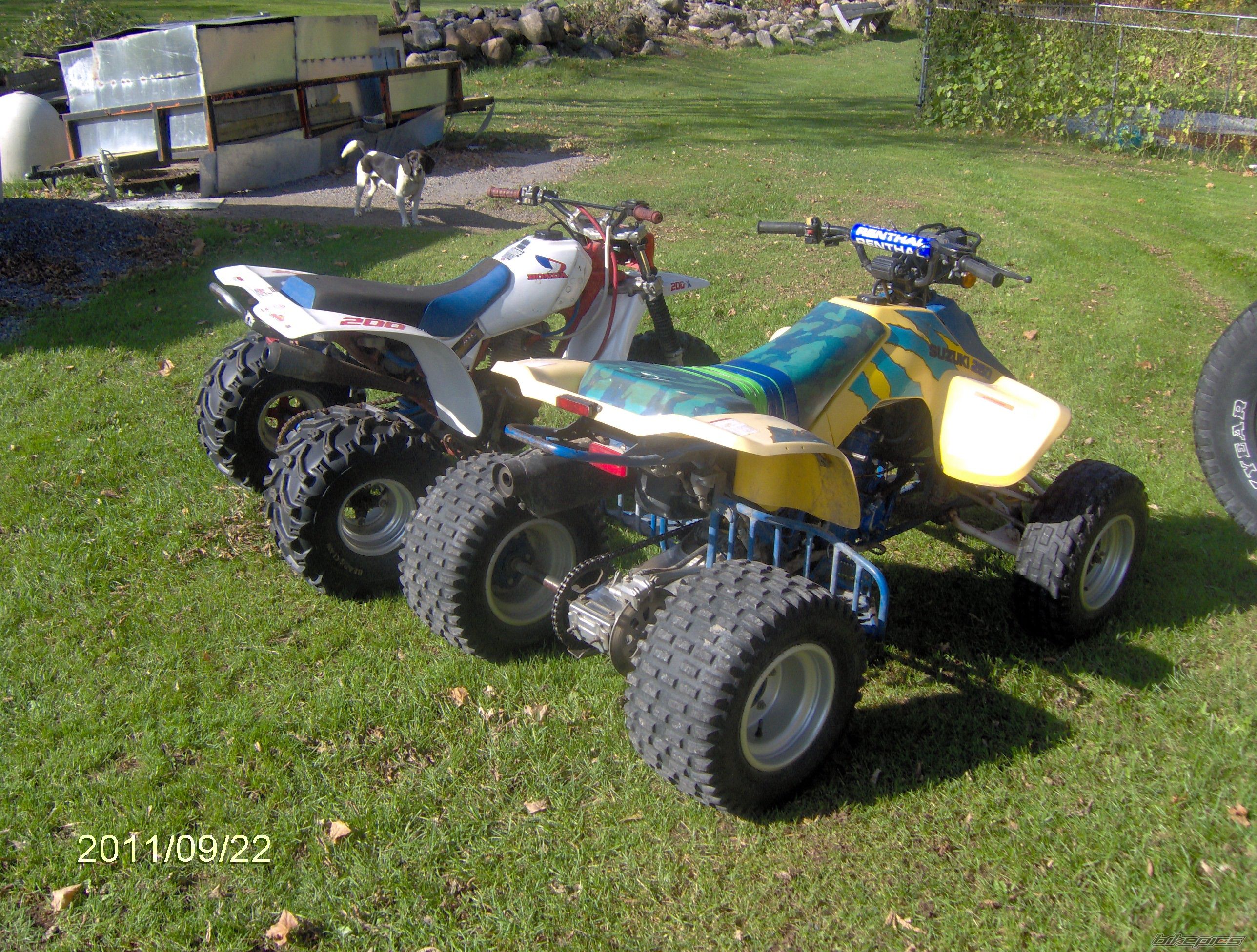 Photo 2291793