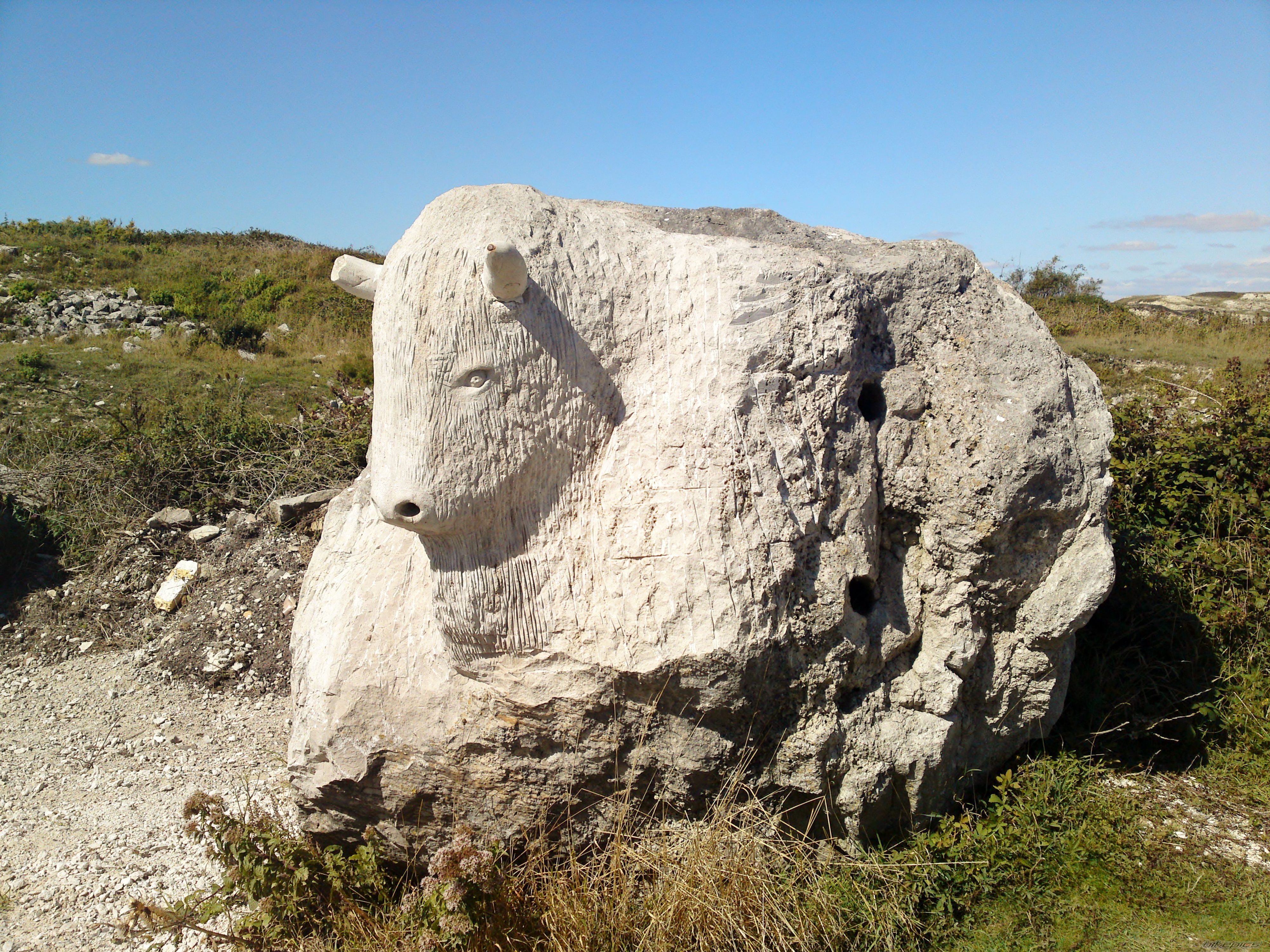 Photo 2291862