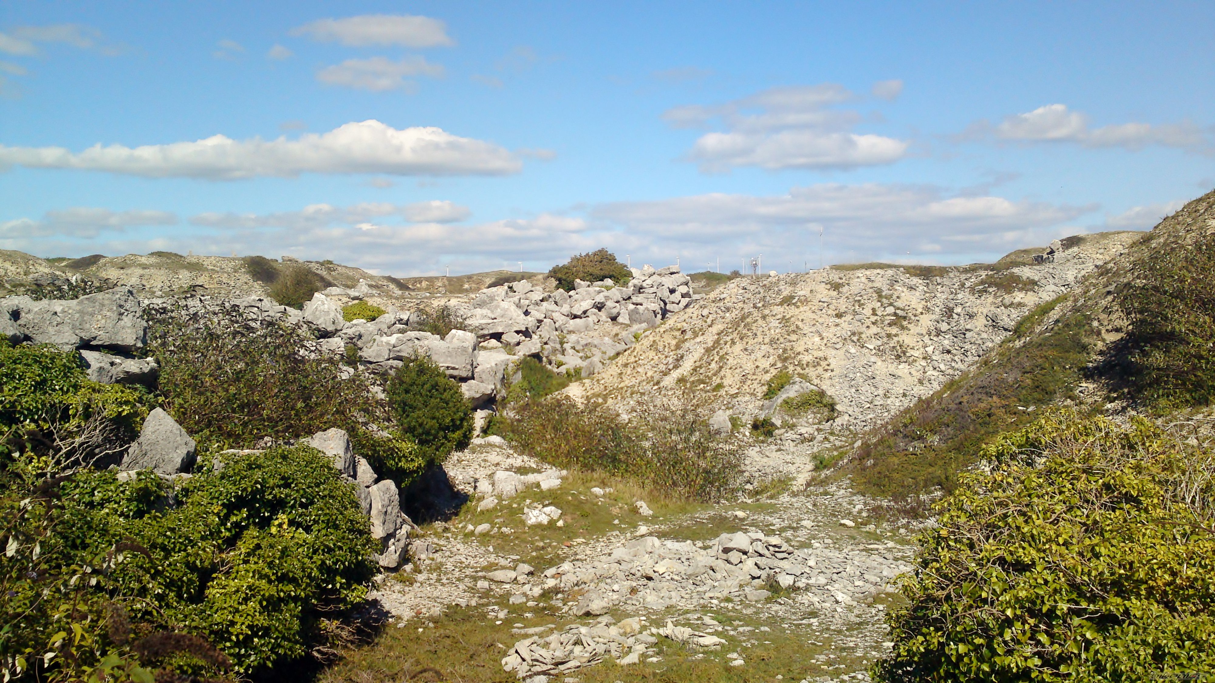 Photo 2292020