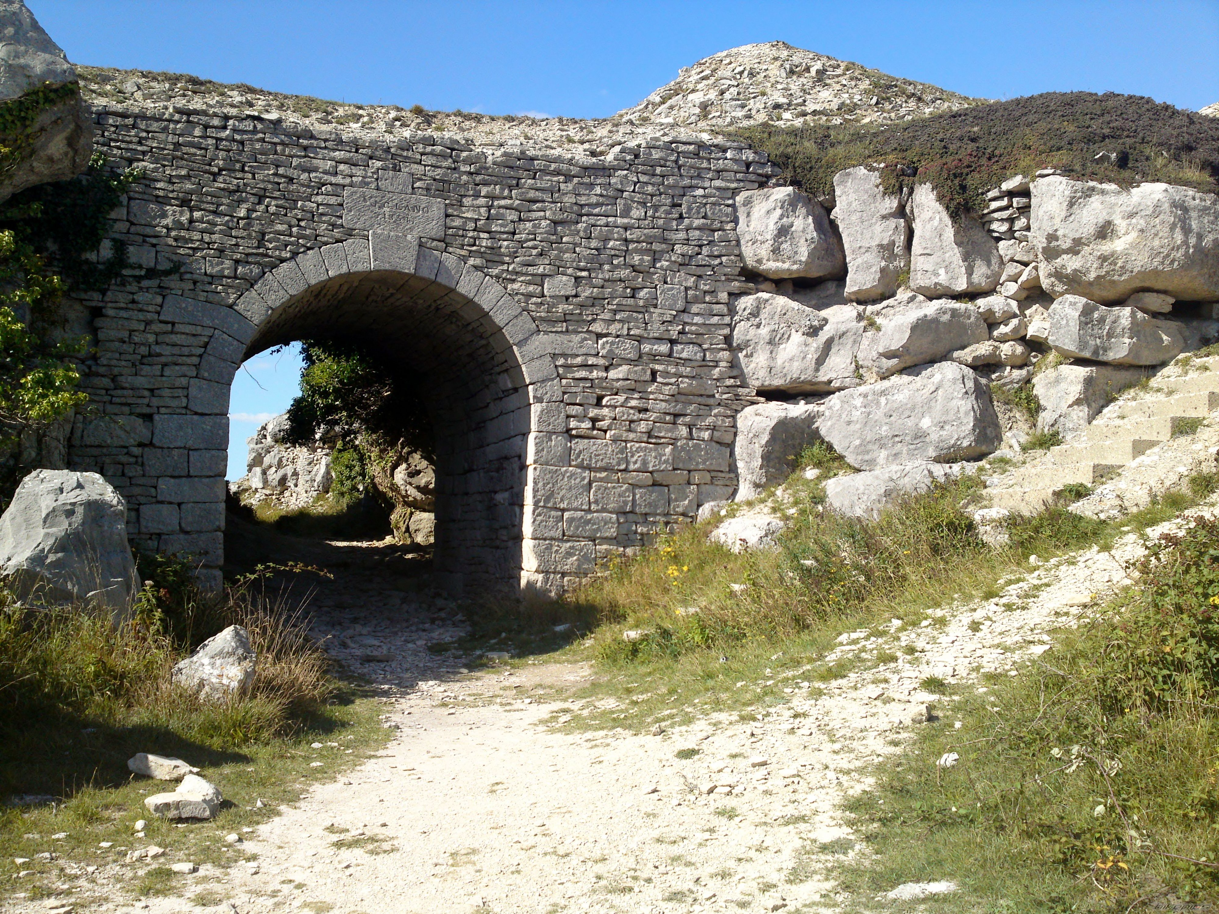 Photo 2292025