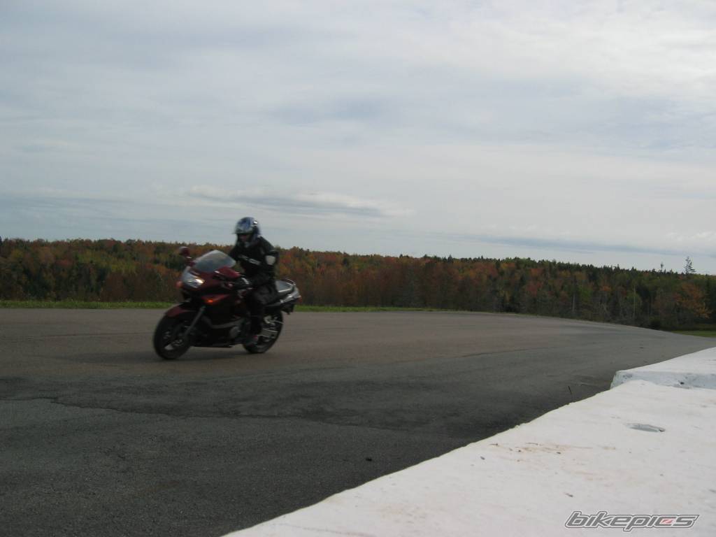Photo 229212