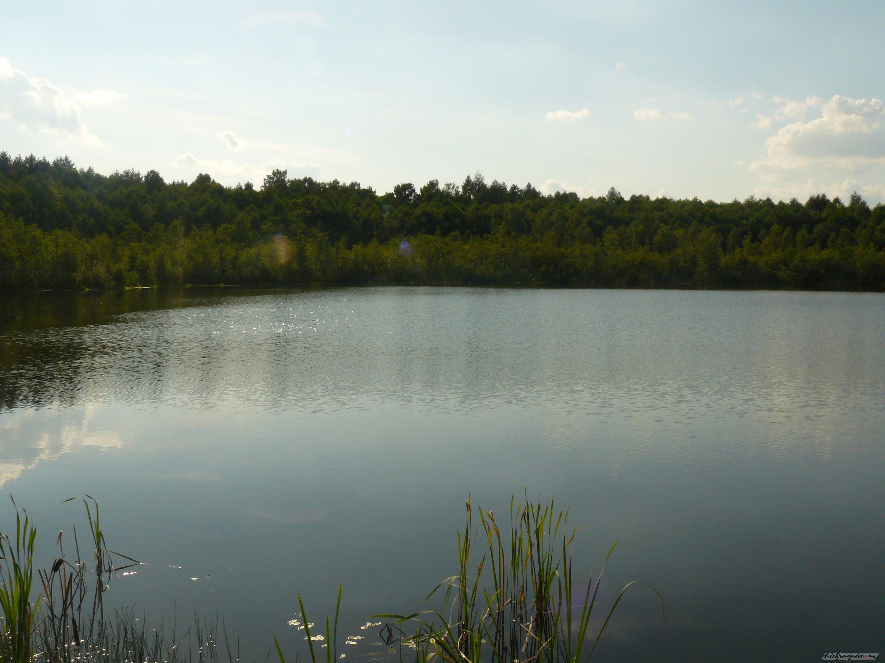 Photo 2292134