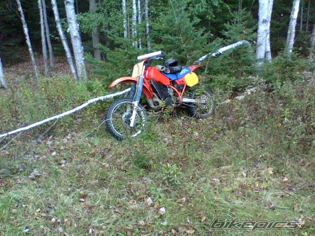 Bike Photo 2292169