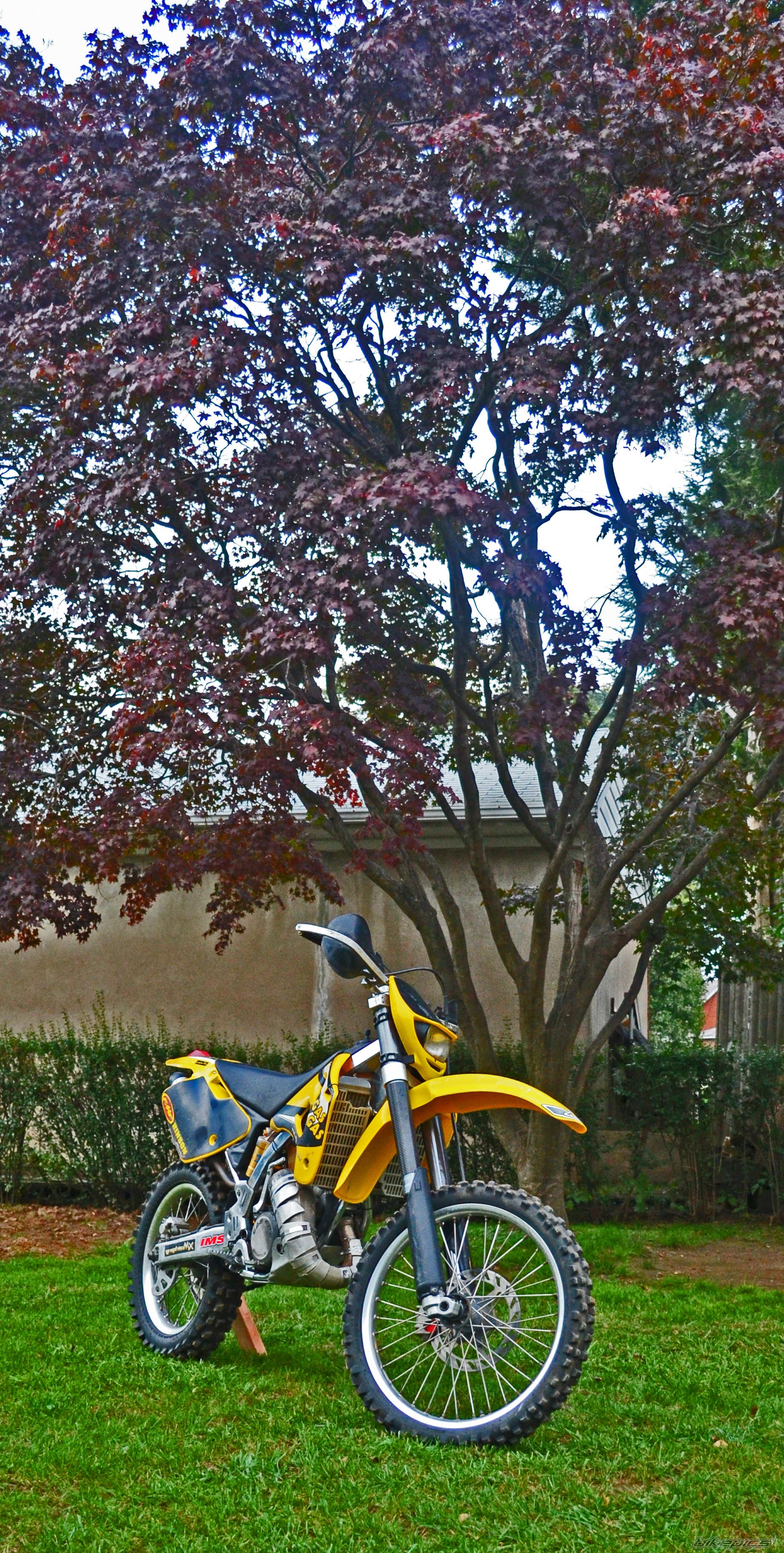 Photo 2292174