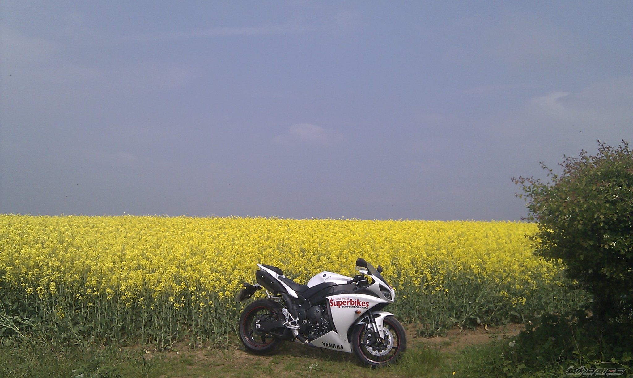 Photo 2292224
