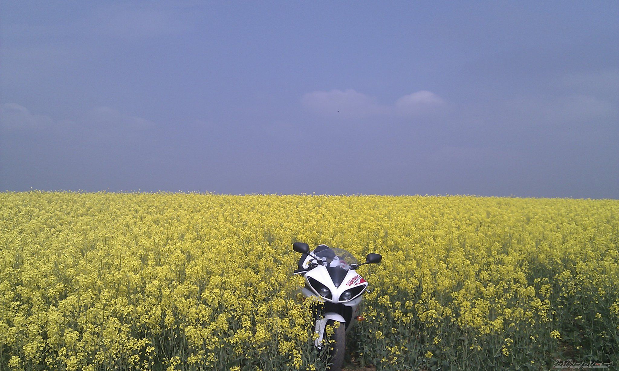 Photo 2292225