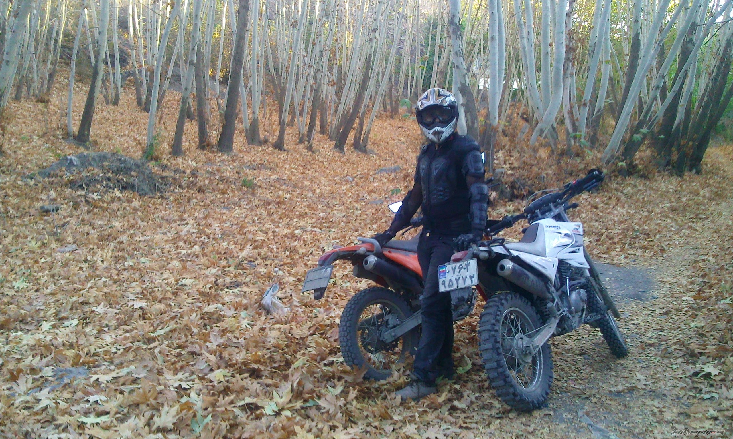 Photo 2292418