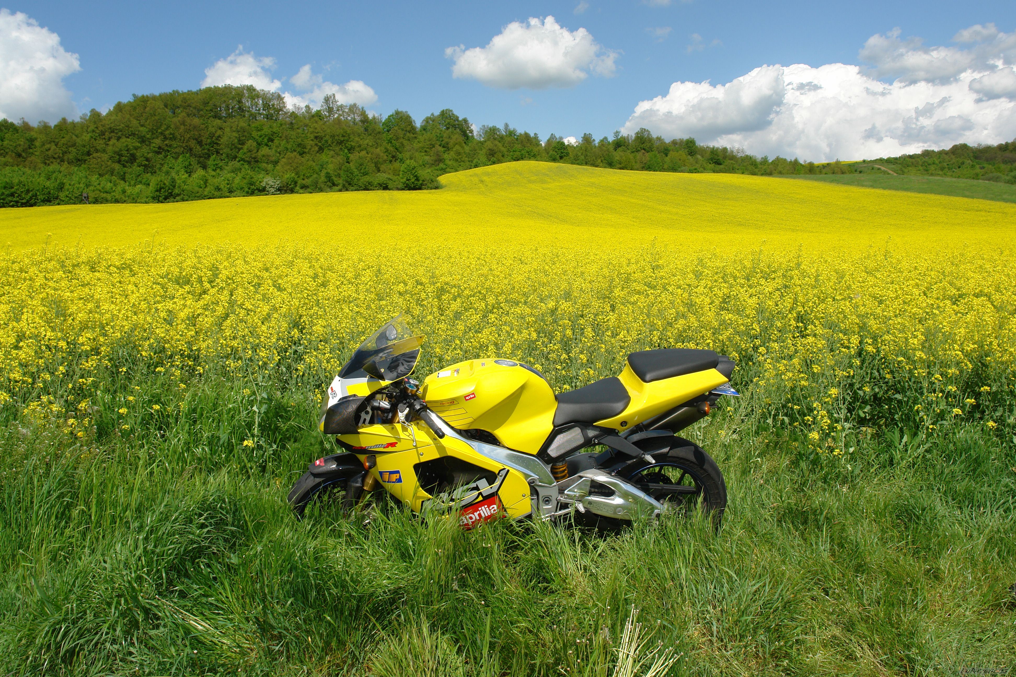 Bike Photo 2292495