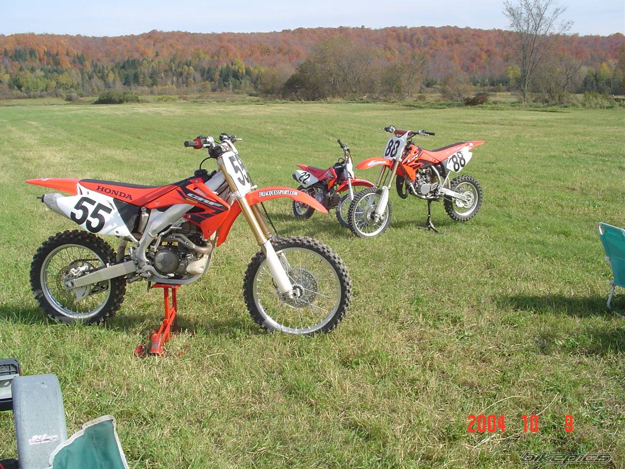 Photo 229250