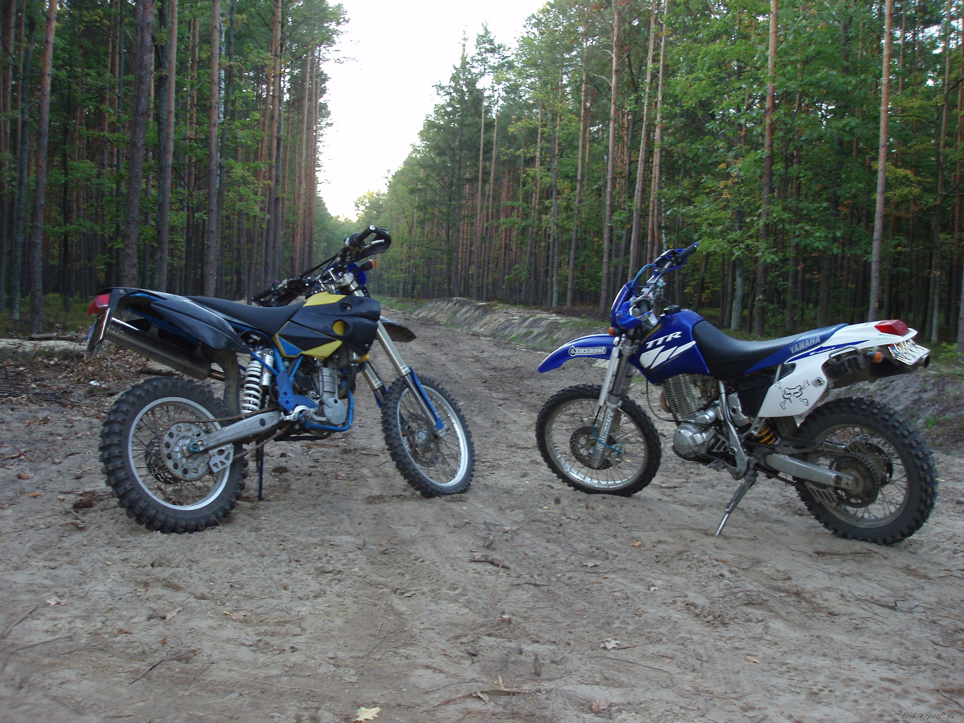 Photo 2292829