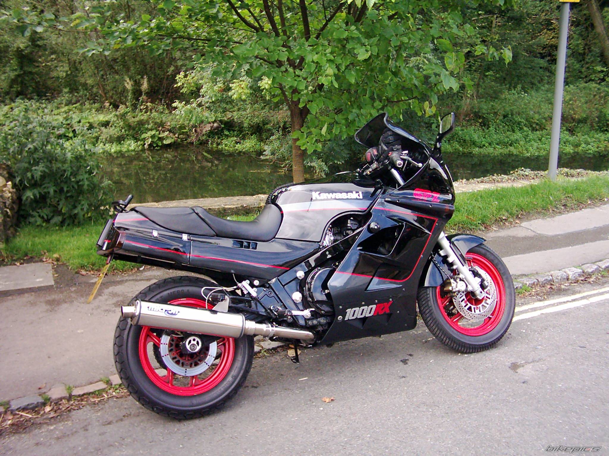 Photo 229285
