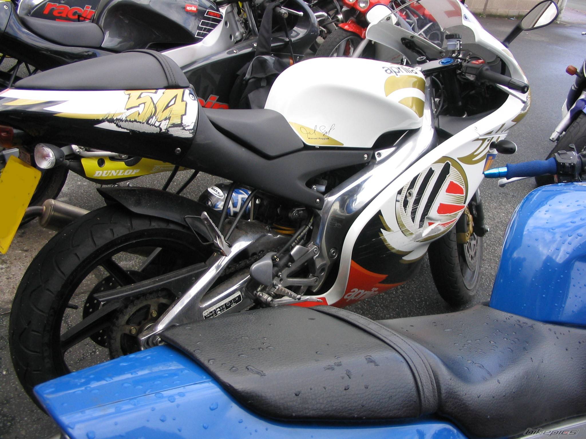 Photo 229289