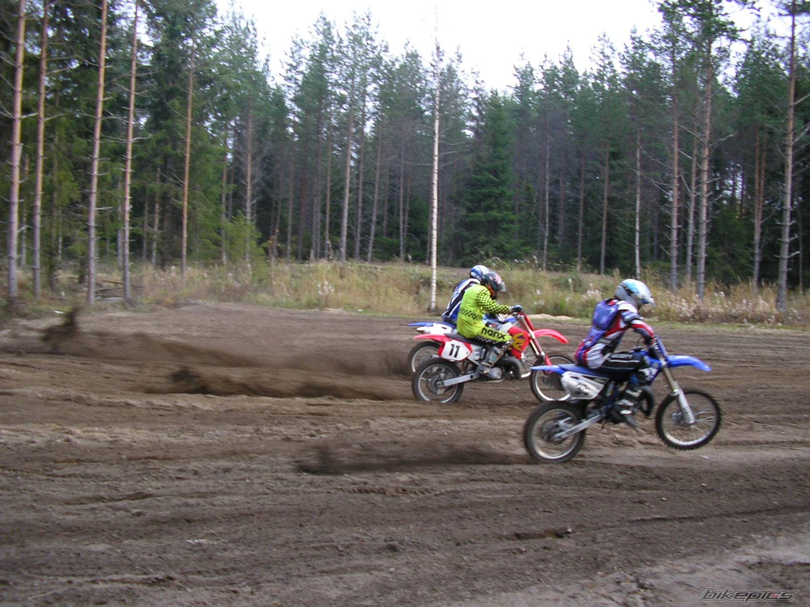 Photo 229291