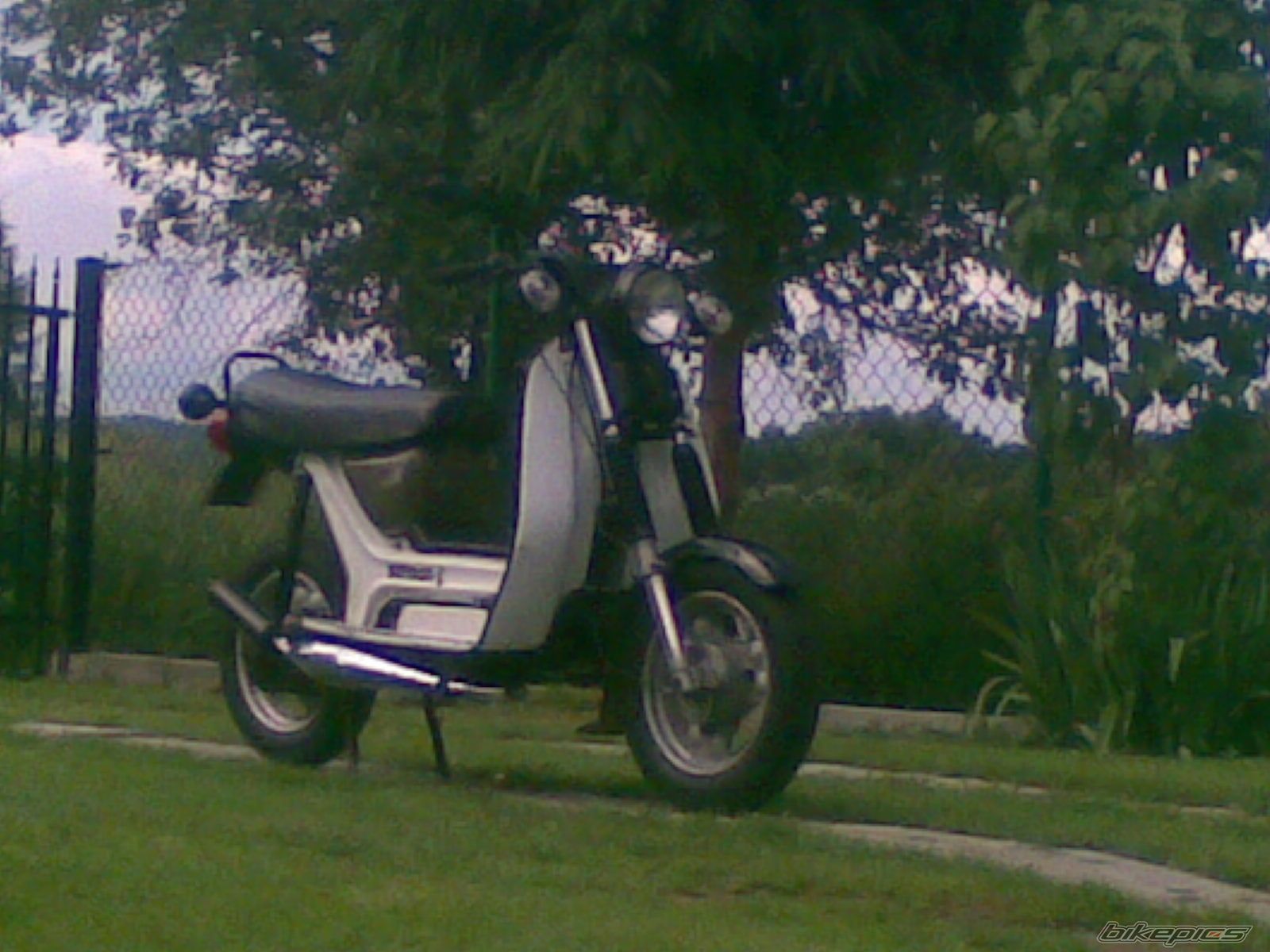 Photo 2292919
