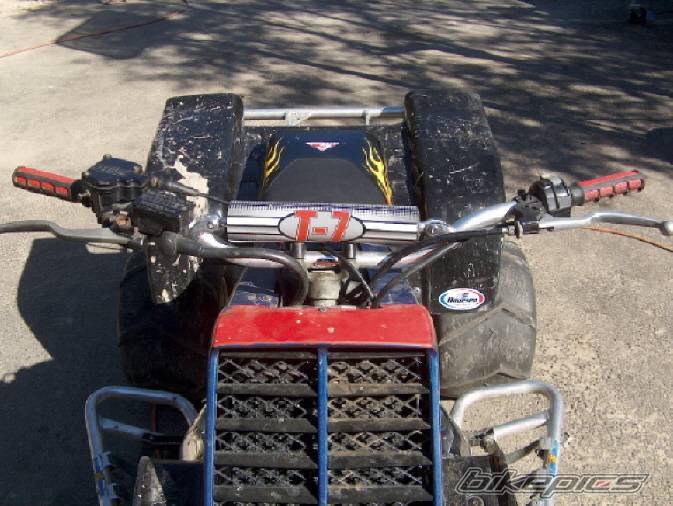 Photo 229293