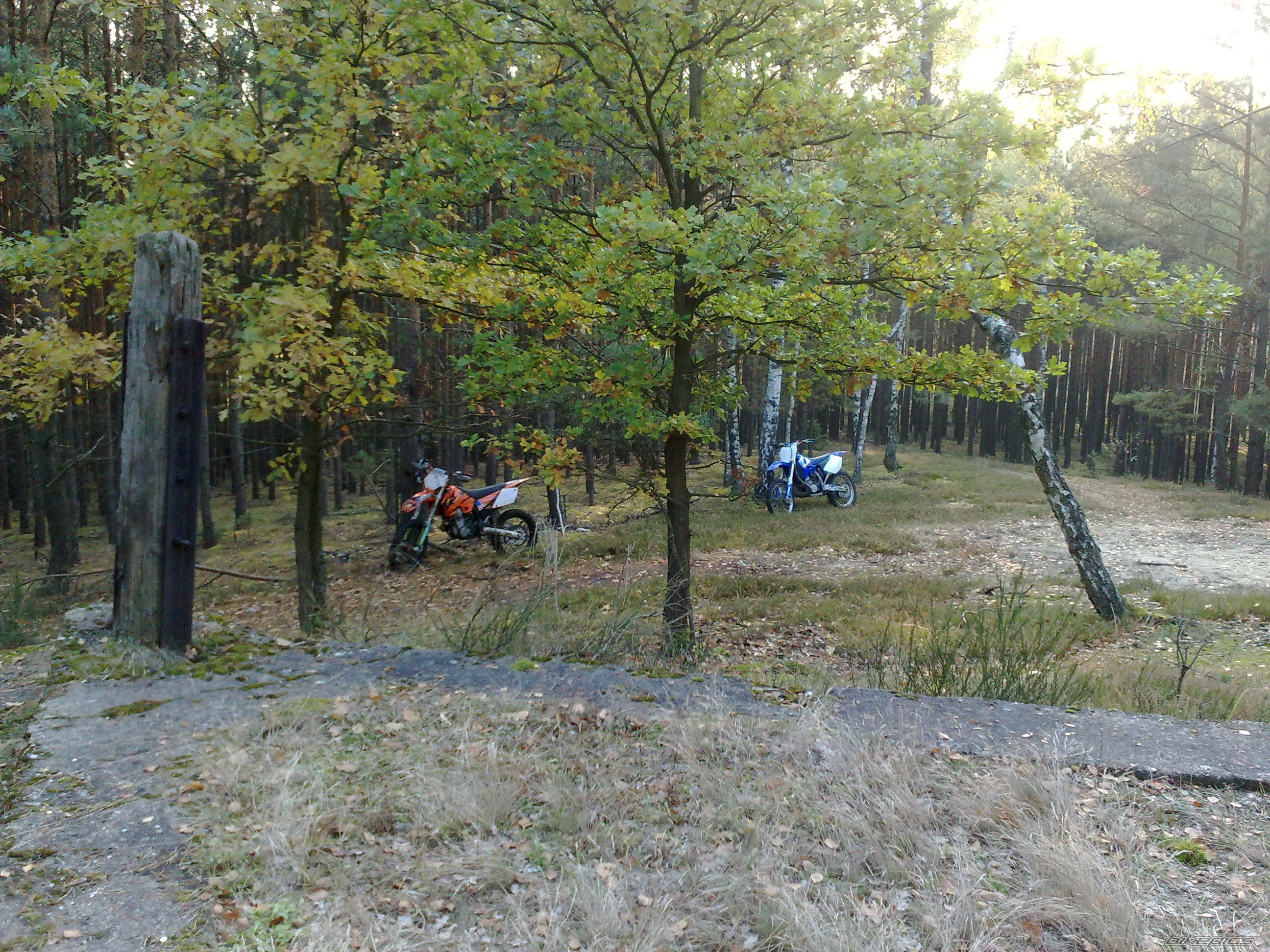 Photo 2292938